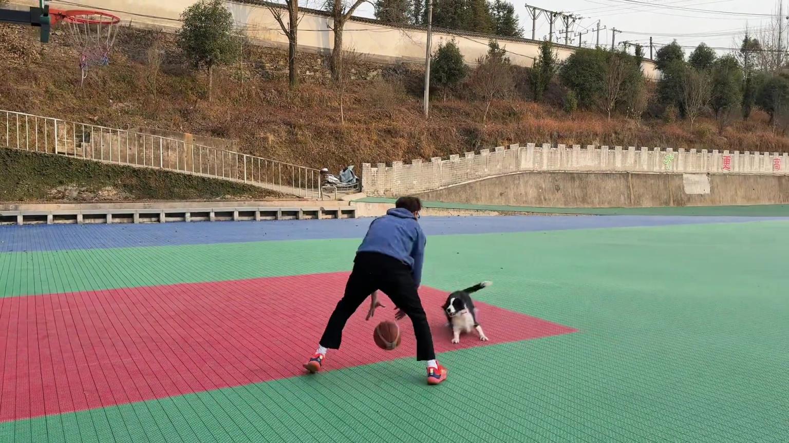 全场紧逼原来是这么练的